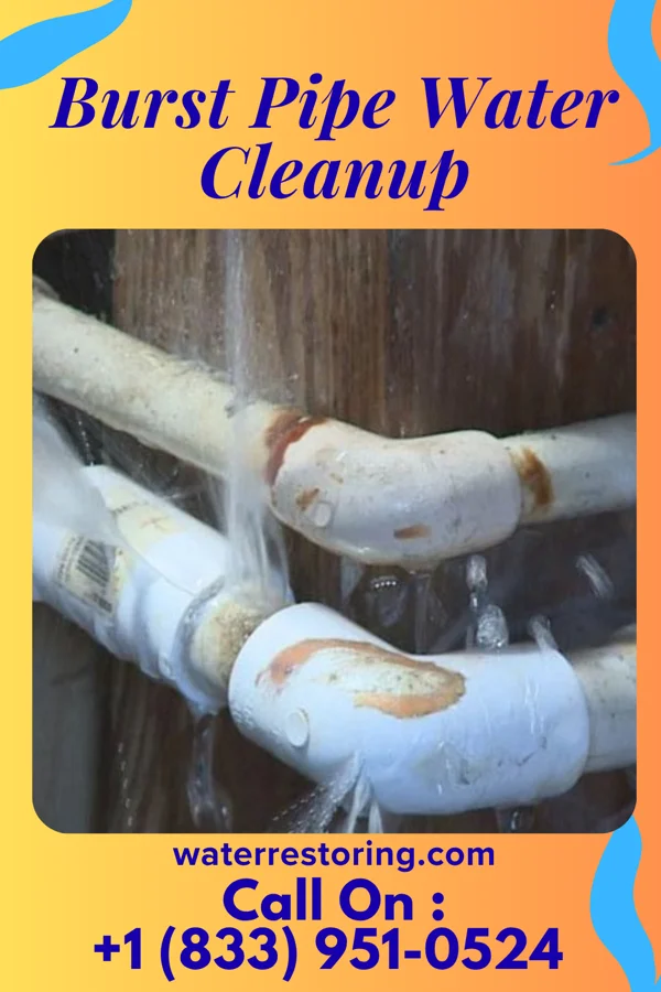 Burst Pipe Water Cleanup in Poca, WV