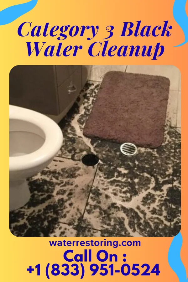 Category 3 Black Water Cleanup in Poca, WV
