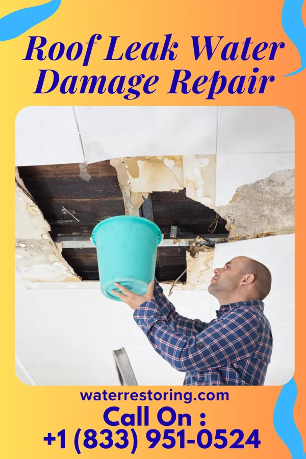 Roof Leak Water Damage Repair in Poca, WV