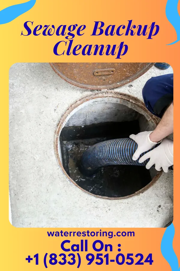 Sewage Backup Cleanup in Poca, WV