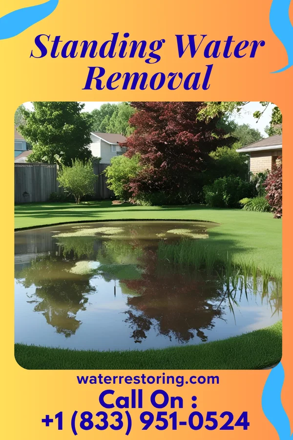 Standing Water Removal in Poca, WV